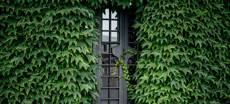Garden Gate Repair in Palm Springs, FL